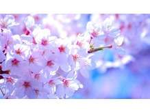 春の肌トラブル！花粉・乾燥対策❀千葉市中央区肌改善するエスサロン＼(^o^)／