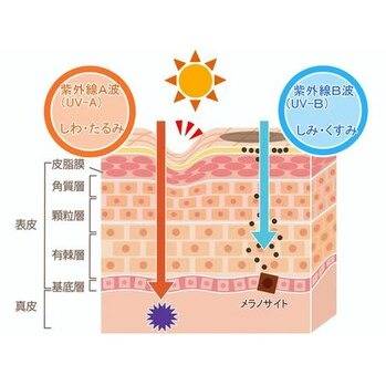 冬こそ大切！紫外線対策☆千葉駅近くハーブピーリングで究極のアンチエイジング